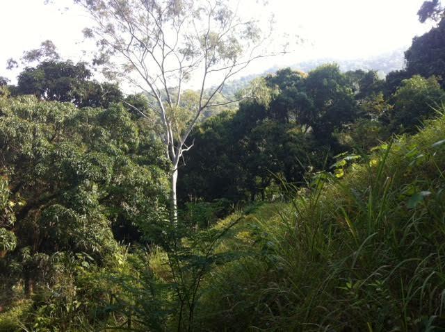 Natural Life *